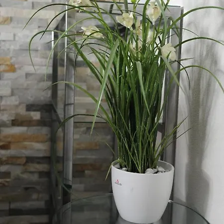 Séjour chez l'habitant Ferienzimmer Ellisee, Kontaktloser Check-in *