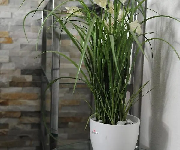 Δωμάτια σε οικογενειακή κατοικία Ferienzimmer Ellisee, Kontaktloser Check-in *